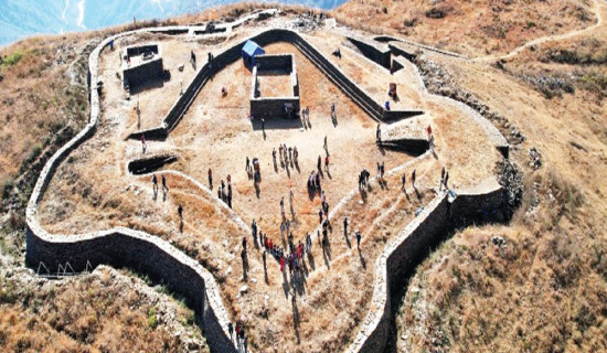 Dengue cases surge with over 4,000 infections