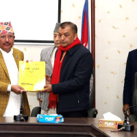 Dhrube elephant demolishes four houses in Chitwan