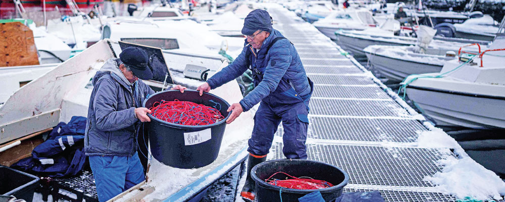 European troops land in Greenland