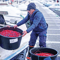 Real Madrid knocked out from Copa