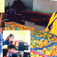 Avoid Reel Addiction