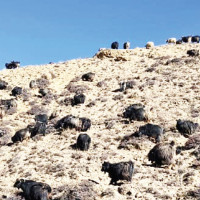 'Golden Triangle Bike Tour' organised to mark World Tourism Day 2023