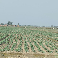 Gagan At The NC Helm