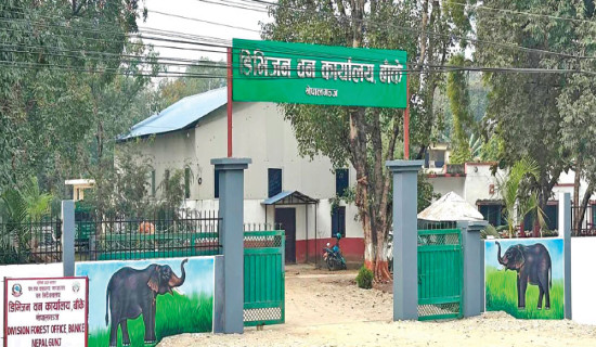 Over half a million saplings distributed in Banke