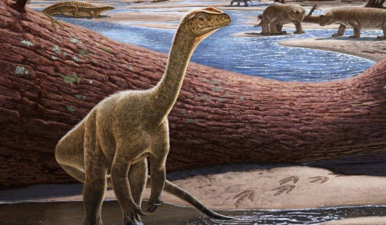 Africa's oldest dinosaur found in Zimbabwe