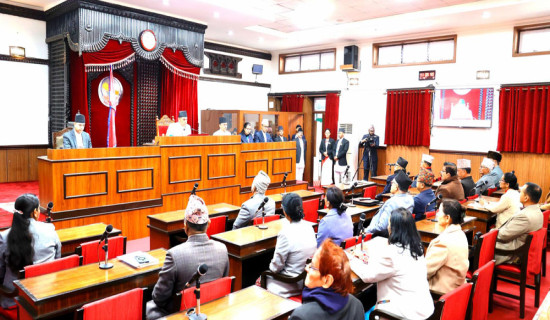 Jumla farmers busy harvesting Marsi rice