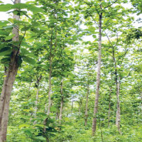 AI: Another Frontier Of Turf War