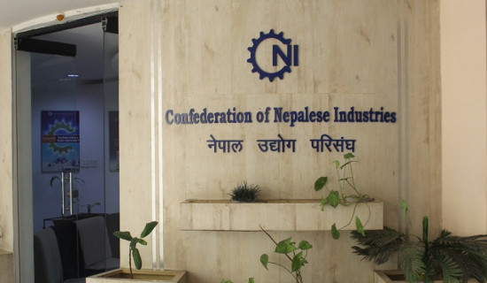 CNI calls for prioritizing economic issues in parties' election manifestoes