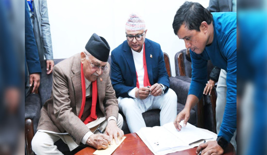 Local level by-elections: where and which posts?