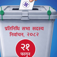 Former Deputy Prime Minister Shrestha contesting HoR election from Sarlahi-3