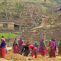 Dialogue held to reduce human-elephant conflict