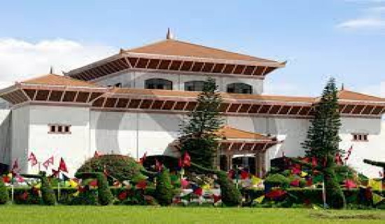 Fresh candidates in fray in Kathmandu constituency 10