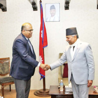 'King cobra' found in  a house in Rukum