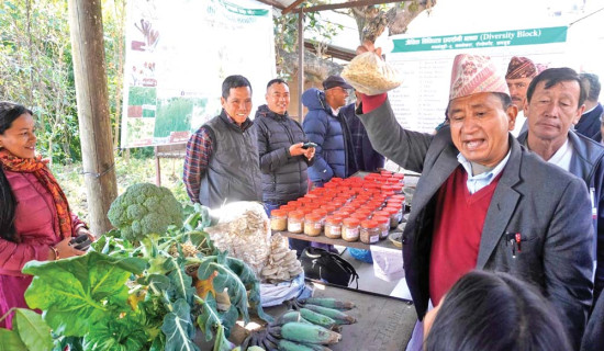 Agricultural fair held in Marsyangdi