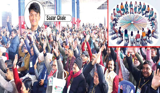 Internal Democracy Ensures Parties' Future