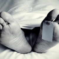 Armed Police Force, Nepal: Strengthening Security, Building Trust