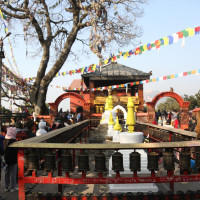 10-day mass drug administration campaign against elephantiasis begins today