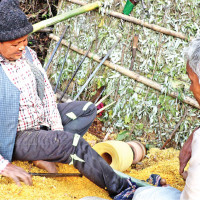 Consumers in Capital Valley stressed over sugar shortage ahead of Tihar