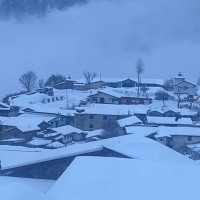 9,250 birds of 76 species found in Koshi Tappu