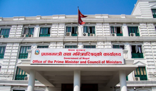 9,250 birds of 76 species found in Koshi Tappu