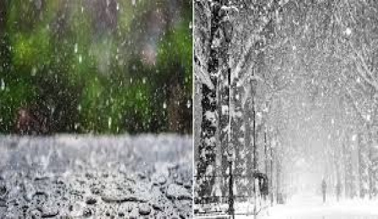 78.82 percent cases related to domestic violence