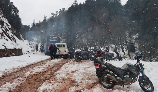 NRN citizenship instrumental to bring NRNs closer to nation: President Paudel