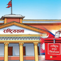 ‘Govt working to accelerate  economic activities’