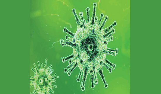 About 6,500 commercial livestock  farms in Nepal, highest in Province 1