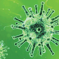 You become character  in Inside Outside Part IV