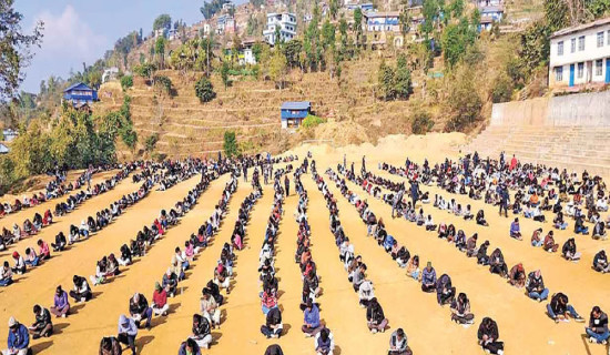 Cardamom exports surge on higher prices, output