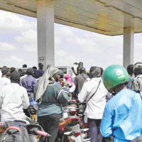 Cardamom exports surge on higher prices, output