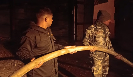 HoR elections 39 days to go: Candidates' personal details made public