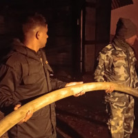 'Create public awareness against COVID-19'