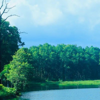 Minister's concern over low representation of women in media