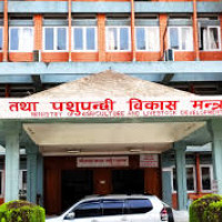 President Paudel receives Bhaitika from sisters