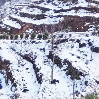 Geminids meteor showers tonight