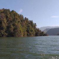 Cumin seeds prices almost halve in two months