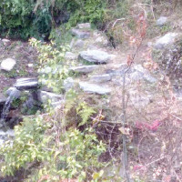 Biratnagar Metropolis to provide relief to fire victims