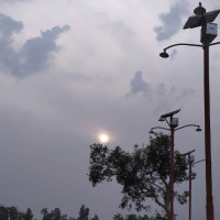 Research calls for stronger evidence culture in environmental policies