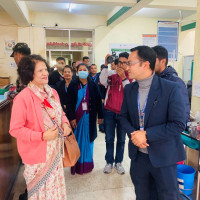 Crocodiles grown in breeding centre released into natural habitat