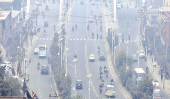 Crocodiles grown in breeding centre released into natural habitat