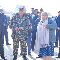 Crocodiles grown in breeding centre released into natural habitat