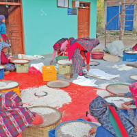 Kathmandu-Tarai Expressway achieves 43.3% progress