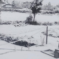 All should raise voice against Israel's genocide of Palestinians: former PM Prachanda