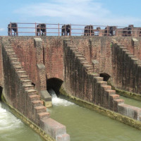 Lamjung earns over Rs 243 million from cardamom sales this FY