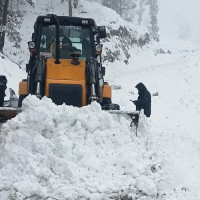 Lamjung earns over Rs 243 million from cardamom sales this FY