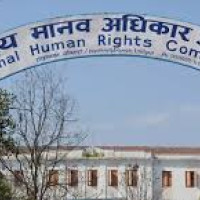 Earthquake created a deep chasm in middle of Turkish olive grove