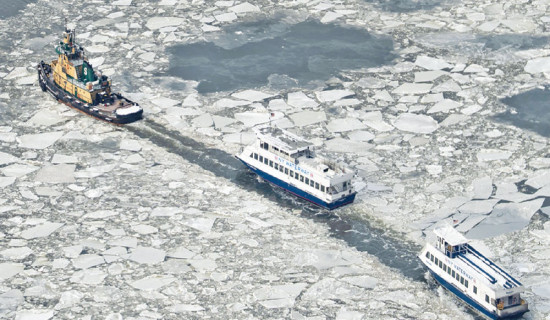 Bitter cold grips US as storm toll rises
