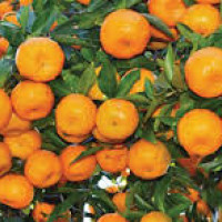 Elderly Citizens Deserve Care And Dignity