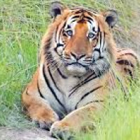 Seminar on Tourism Management concludes highlighting on dialogue on culture of tourism